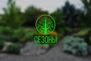 Логотип "Сезоны"