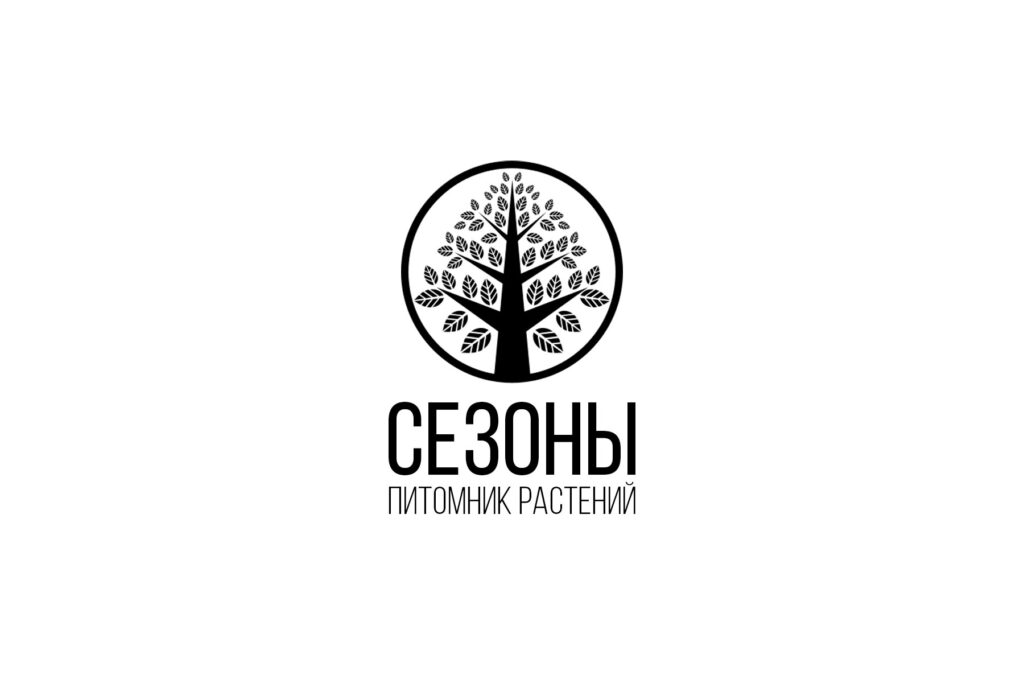 Логотип "Сезоны" - черный