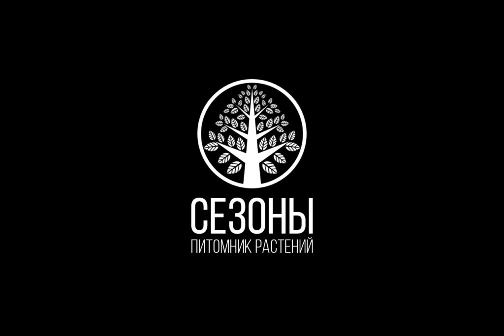 Логотип "Сезоны" - белый